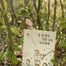 두평의꿈 이미지