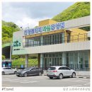 목공예A | 밀양 도래재자연휴양림 휴양관 A동 204호 후기, 숲속 힐링 제대로네