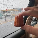 크로스핏 팔팔 | 2024 로어톤챔피언십 후기 - 2024로어톤 / 42.195km / 완주가 목표!! / 크로스핏팔팔1군