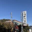 청룡식당 | 광양 현지인 맛집 청룡식당 섬진강 재첩회무침 재첩국 포장가능