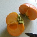 수지농장 이미지