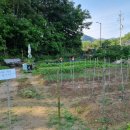 하정농장 이미지