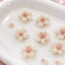 데일리로(DailyRo) 이미지