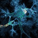 비엔씨산업 이미지