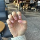 네일무드유