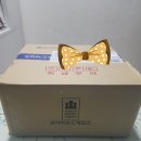 골든벨게임즈 | 코리아보드게임즈 KBS도전 골든벨 OX퀴즈게임