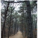 한익모선생 묘 | [20170115]&#39;의왕시 누리길(들고지길-달바위길-왕송못길) 이어걷기&#39;를 다녀오다 - 2부