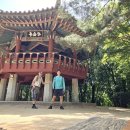 571 연대 안산 소나무숲길 이미지