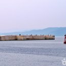 월송정생활체육공원 이미지