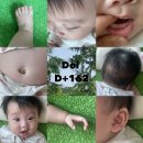 피자스쿨곡반정점 | 10月11日~10月20日