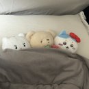 본죽앤 비빔밥 경산하양점 | 맛있는거 많이 먹었다 동글동글 3월!