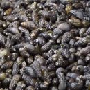 마천농산 이미지