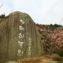 천지농원 이미지