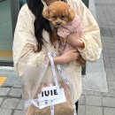 [전포 그릇 &amp; 소품샵] 김소일 도자기 이우이에 IUIE 그릇쇼핑 구매후기 🤍