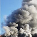 강남초등학교 이미지