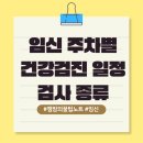 (주)태위 | 임신 초기부터 출산까지 건강검진 총정리｜주차별로 꼭 알아야 할 검사 일정