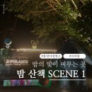 통영성인나이트(통영나이트) | 통영 가볼 만한 곳 디피랑 방문 후기 입장료 할인 운영시간 정리