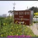 녹두장군 Daum카페