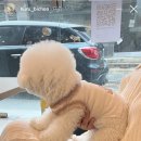 정우수산 이미지