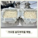 새터말 | 대전 유아 체험 / 초등학생 체험하기 좋은 가오동 숨두부체험 / 7세아이랑 다녀온후기