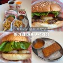 마포초록약국 | 마포구청 점심 메뉴 추천 버거리 신메뉴 다 먹어보고 옴