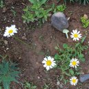 하늘농약사 이미지