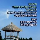 사랑으로 이미지