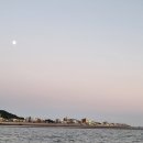 블루썬셋요트