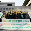 로컬플랜 이미지