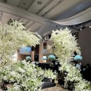 호텔그랜드스위트 이미지