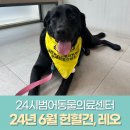 레오동물병원 이미지