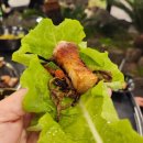 대담 | [제주 애월 흑돼지 맛집] BTS 진이 다녀간 제주 애월 대담 찐 솔직 후기! 야장 분위기 최고