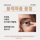 템프업플러스 | 블레파졸도 품절, 대체품은? (블루캐롯 아이케어 티슈, 오큐소프트, 아이봉)