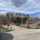 성인농장 이미지