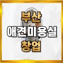 이로애견미용실 이미지