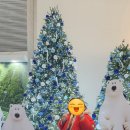 강원도 평창 휘닉스파크 블루동 스카이 스위트룸 1박&amp; 스노우빌리지 눈썰매 &amp; 센터플라자 온담 후기!