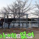 기성목장 이미지