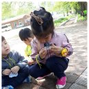 내북초교 병설유치원 이미지