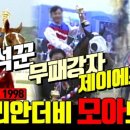 삼관목장 이미지