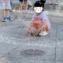정관 돌고래분수광장 이미지