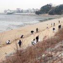 바다로해海