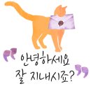 퍼스트컴퍼니 이미지