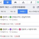 스킨앤이어동물병원 이미지