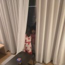 늘푸른충전소 | 공항근처 아이동반 제주 숙소, 신라스테이 플러스 이호테우