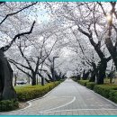 작천 이미지