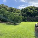 북촌리1925 이미지