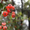 수암한의원 이미지