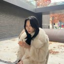 맥시멀리 이미지