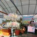 호정숲속어린이집 이미지