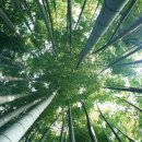 은하수커피 이미지